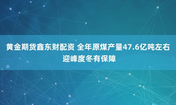 黄金期货鑫东财配资 全年原煤产量47.6亿吨左右 迎峰度冬有保障