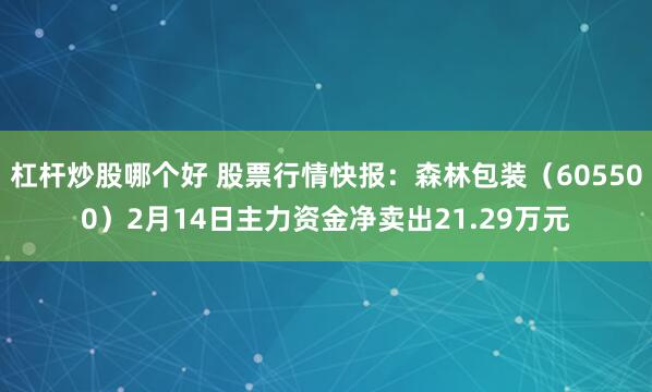 杠杆炒股哪个好 股票行情快报：森林包装（605500）2月14日主力资金净卖出21.29万元