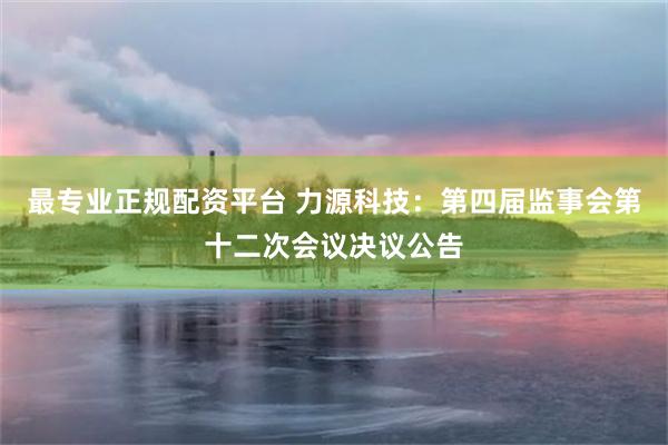 最专业正规配资平台 力源科技：第四届监事会第十二次会议决议公告